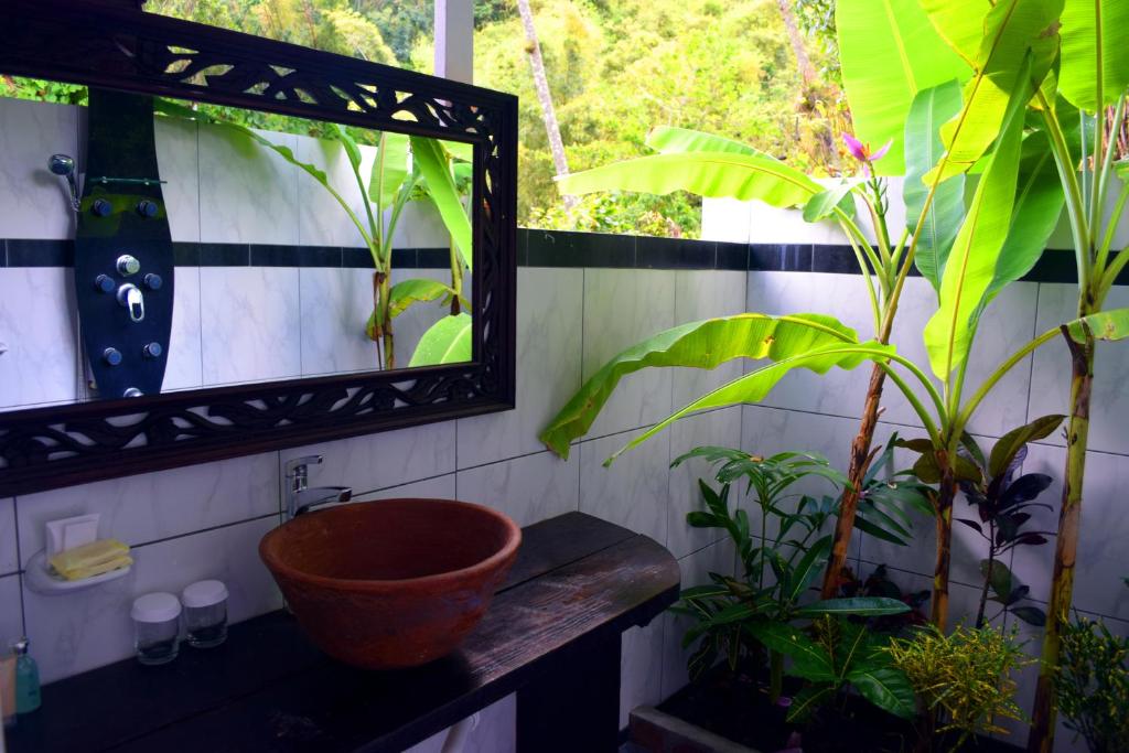 hebergement fond-doux-plantation-salle de bain dominique