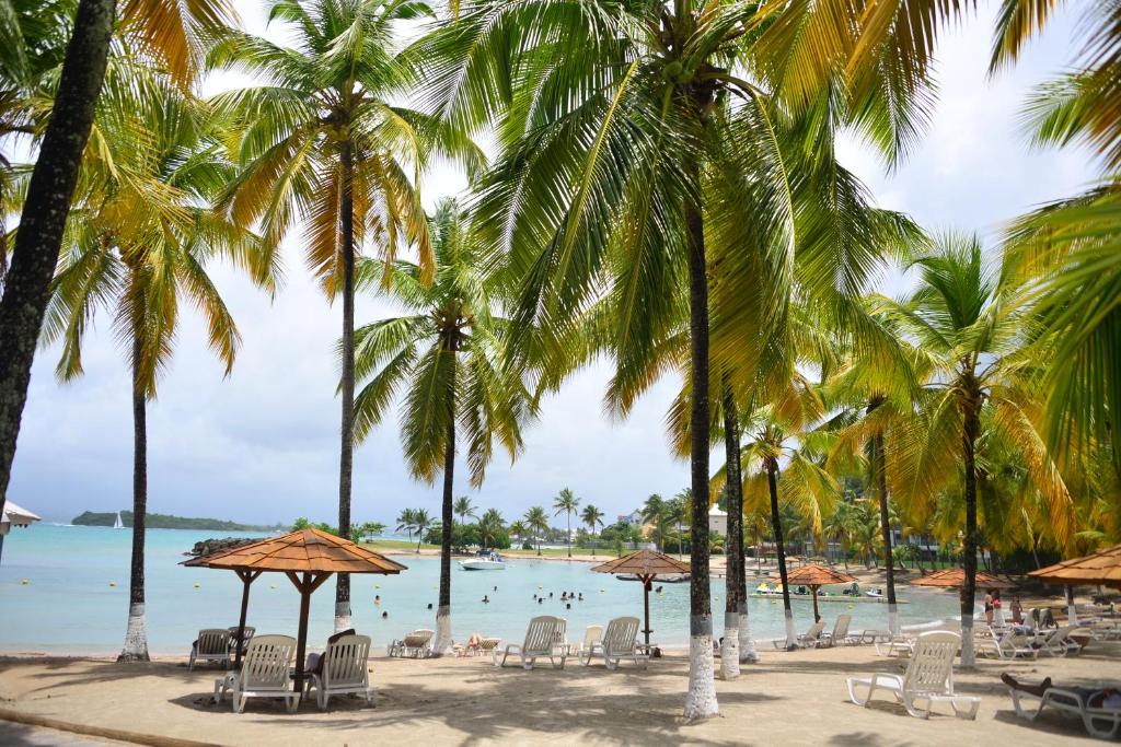 hebergement-hotel-fleur-d-epee-plage-cocotier-guadeloupe