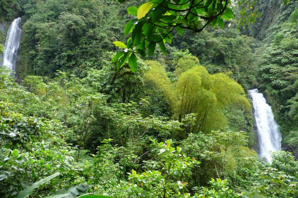 ile nature cascade dominique