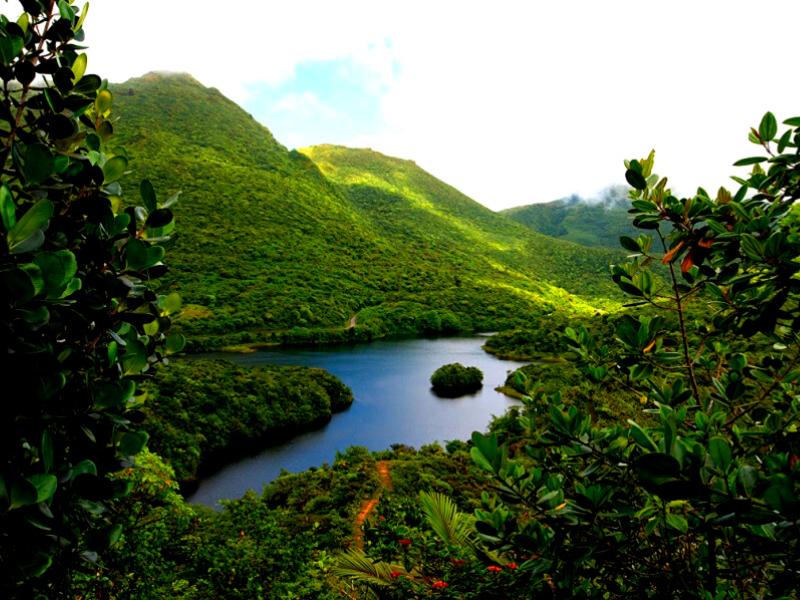 riviere-foret-tropicale-dominique