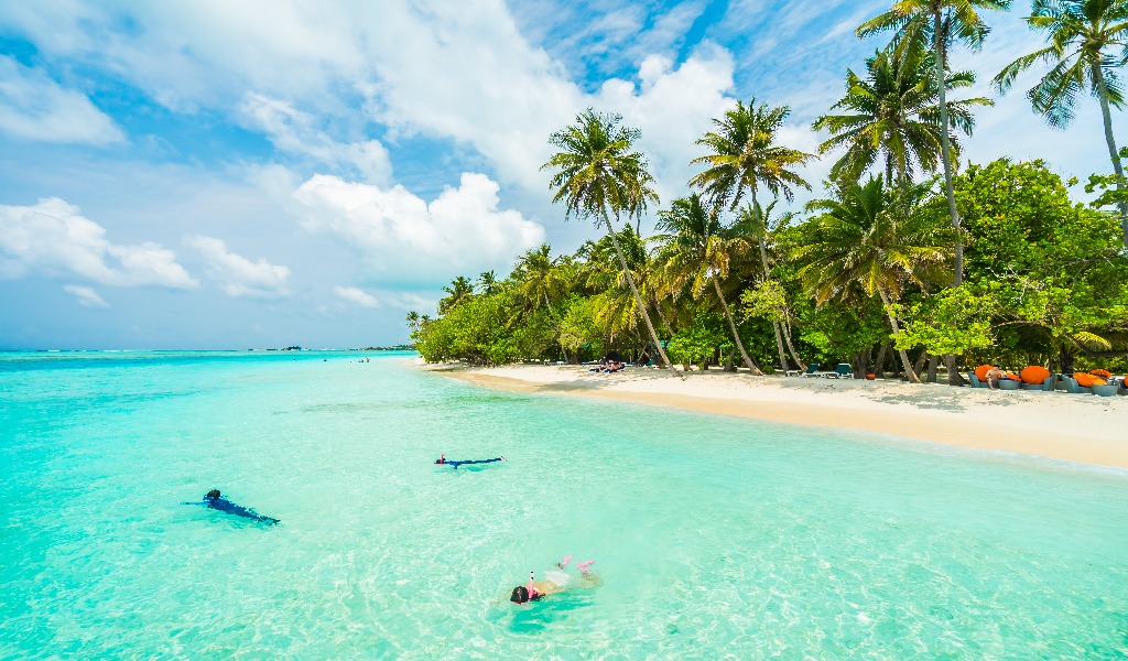 plage-de-sable-blanc-eau-turquoise-cocotier-guadeloupe-martinique-saint-martin-saint-barthelemy-republique-dominicaine