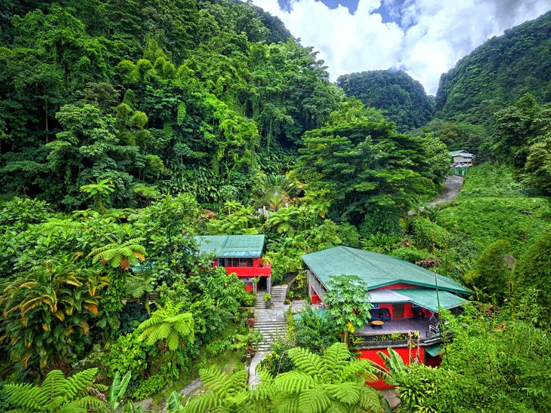 HEBERGEMENT - COTTAGE DOMINIQUE