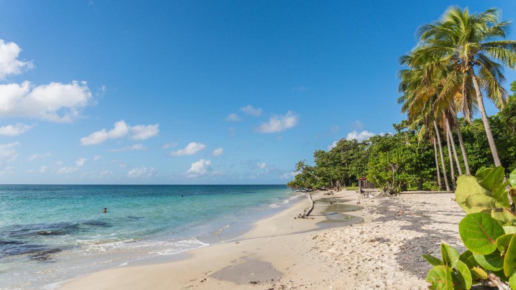 Résidence hoteliere les cayalines